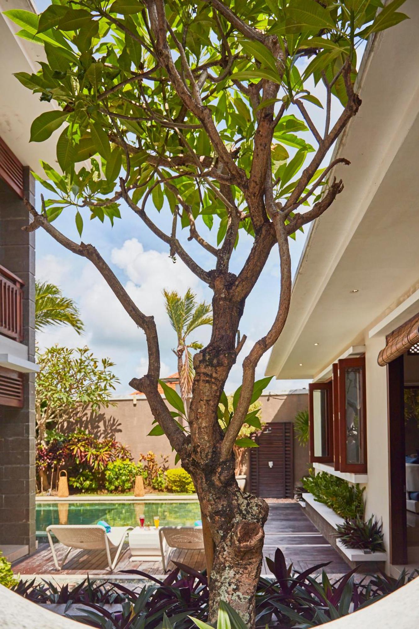 Dreamscape Bali Villas Canggu المظهر الخارجي الصورة